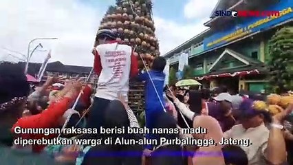 Aksi Warga Berebut Gunungan Nanas Madu dalam Karnaval Budaya Purbalingga, Jateng