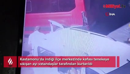 Kafası tenekeye sıkışan ayıyı vatandaşlar kurtardı