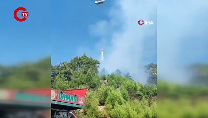 Son Dakika: Adana Feke'de orman yangını