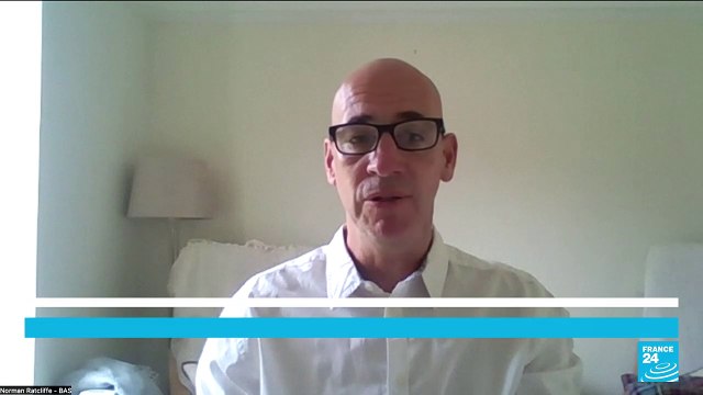 Mortalité catastrophique des manchots : une étude alerte sur la disparition de l'espèce en Antarctique