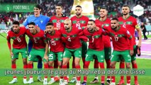 REVUE DU 25 AOUT: Amicaux vs Brésil, Algérie, Cameroun et Mali, Ligue des Champions AFC, LDC AFC...