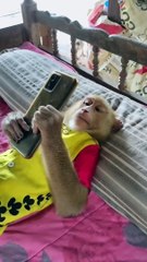 Viral Video ।। monky monky Lover ।। Short video।।