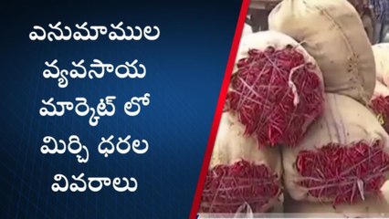 వరంగల్ ఈస్ట్: పెరుగుతున్న మిర్చి ధరలు.. క్వింటా ధర ఎంతంటే..!