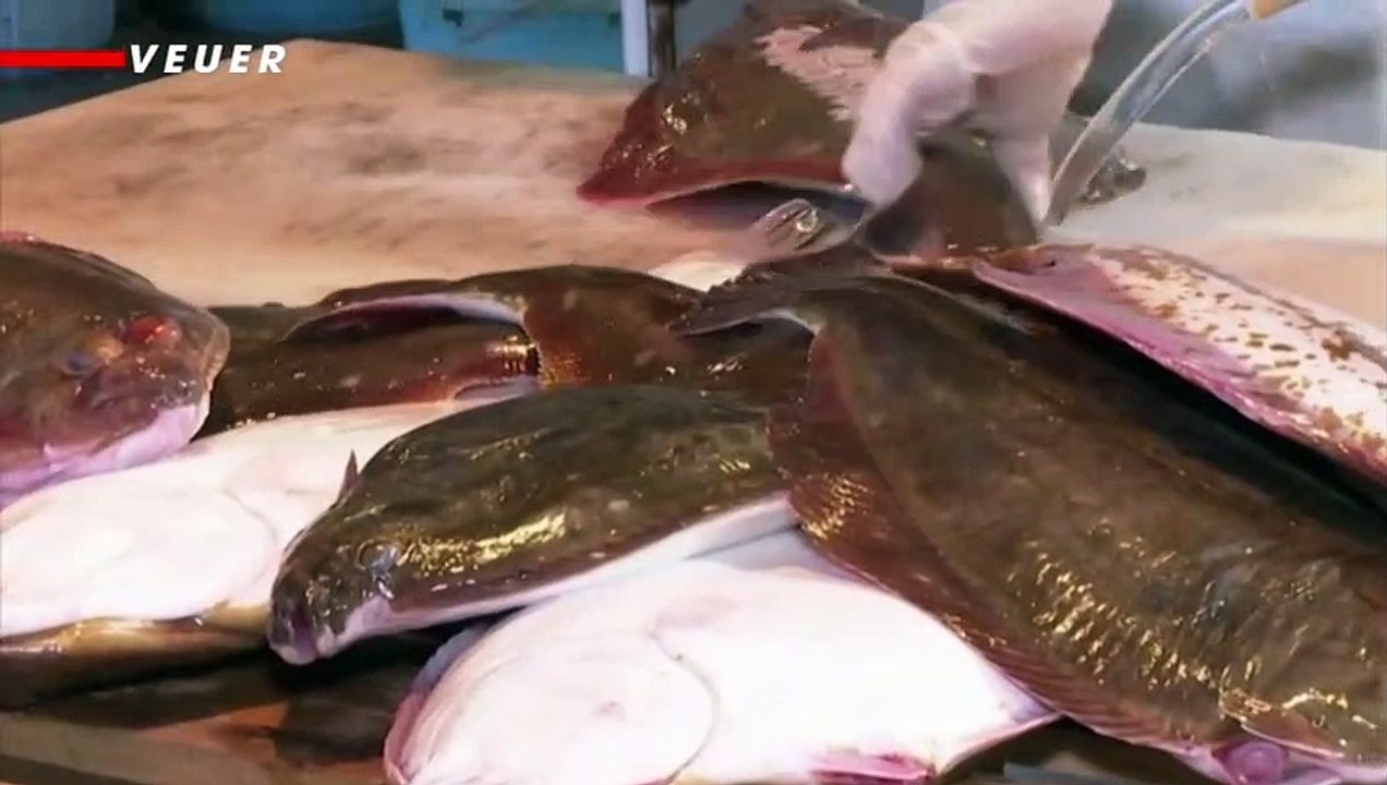 Japan Releasing Treated Fukushima Nuclear Disaster Wastewater Into Ocean