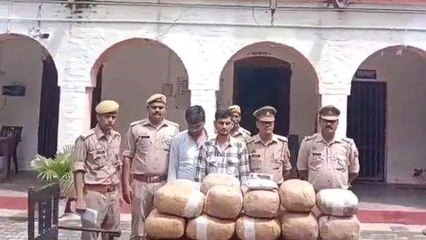 अमेठी: गांजा तस्करों को पुलिस ने पकड़ा, कब्जे से 1 कुंटल 03 किलो 930 ग्राम गांजा हुआ बरामद