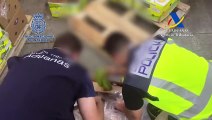 Aprehendido en el Puerto de Algeciras el mayor alijo de cocaína intervenido en España