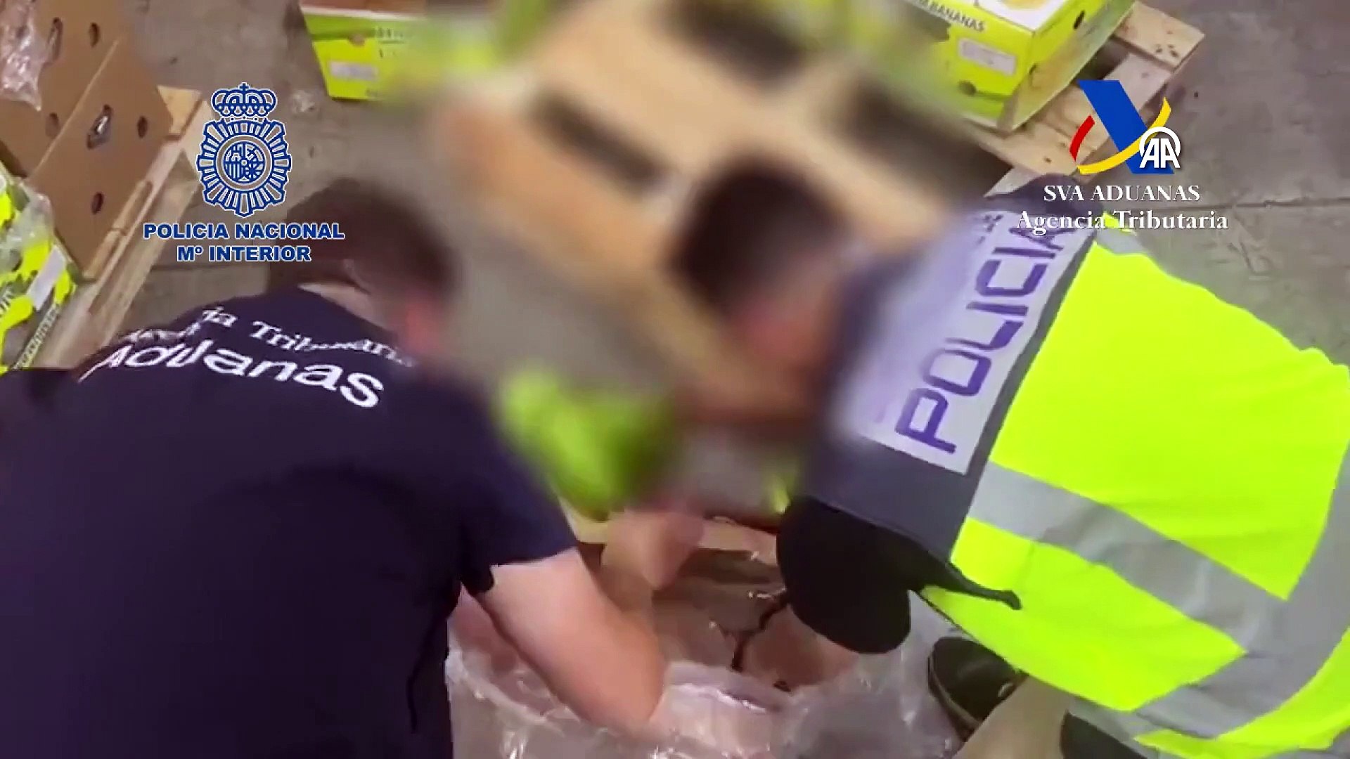 Bir muz kolisi vakası da İspanya'da! 9,4 ton kokain ele geçirildi -  Dailymotion Video