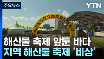 해산물 축제 앞둔 바다...오염수 방류에 '비상' / YTN