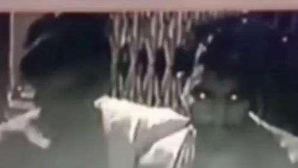 सिरोही: सावन माह में शिव मंदिर को चोरों ने बनाया निशाना, देखिए Live वीडियो