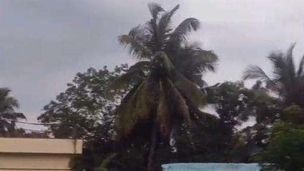 కోనసీమ జిల్లా: హమ్మయ్యా.. వర్షం వచ్చేసింది