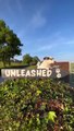 A petition has been launched to save Unleashed dog park