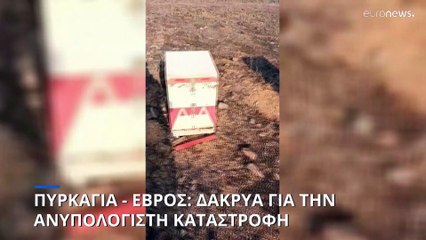 Πυρκαγιά στην Έβρο: Στάχτη χιλιάδες μελίσσια - Δάκρυα για την ανυπολόγιστη καταστροφή