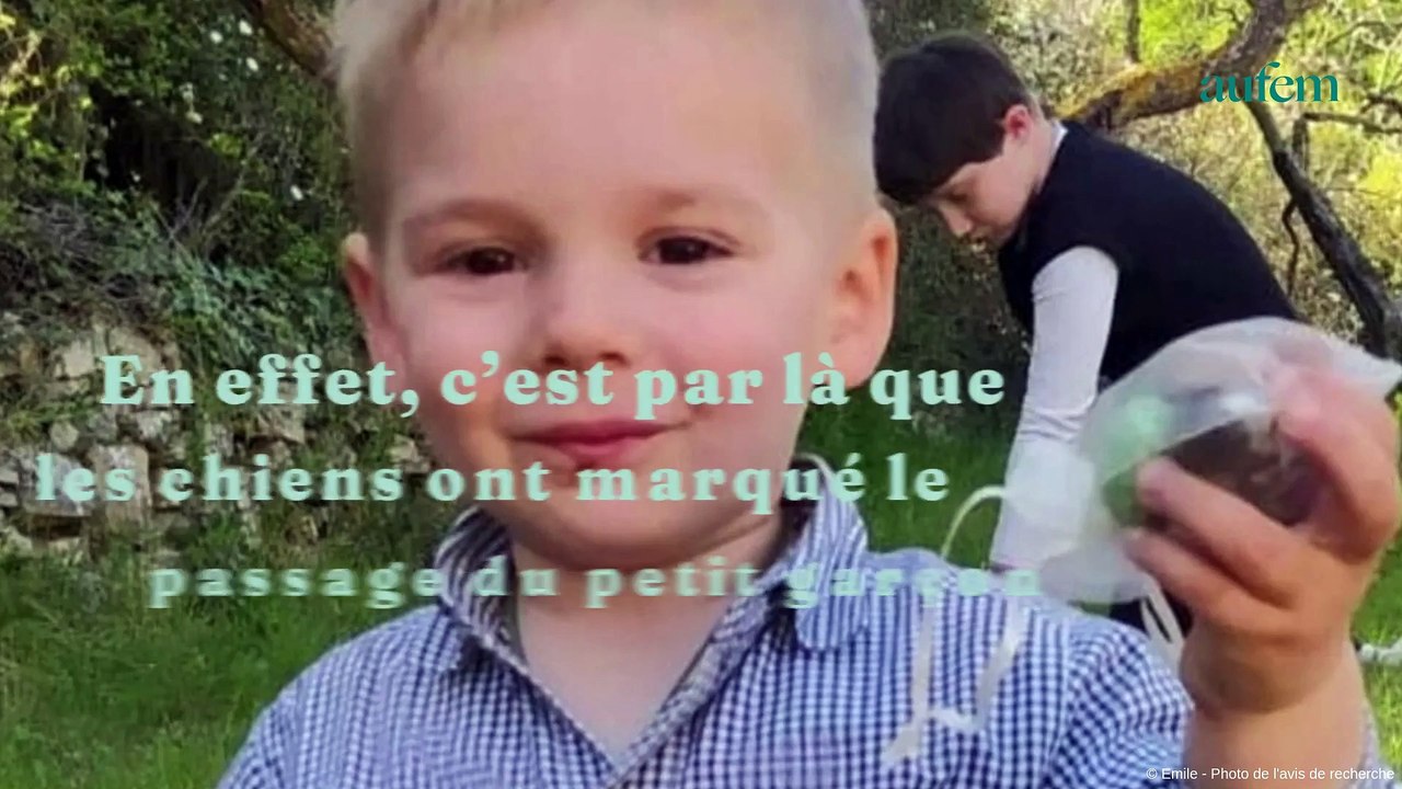 Disparition d’Emile : laquelle des dernières personnes à l’avoir vu vivant est la plus crédible ?