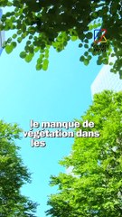 On vous explique pourquoi il fait plus chaud dans les quartiers populaires !  Tu veux plus d'infos environnement, go follow @nowu_fr