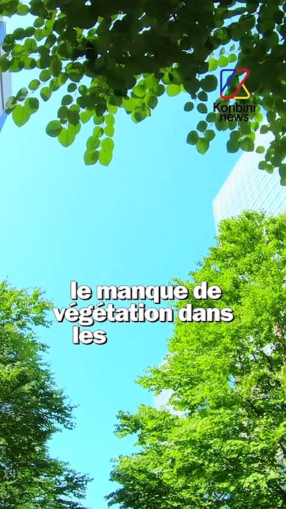 On vous explique pourquoi il fait plus chaud dans les quartiers populaires !  Tu veux plus d'infos environnement, go follow @nowu_fr