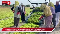 Üzümcü isyan etti: Bizi bitirmek mi istiyorlar. Ne yapalım dağa mı çıkalım?