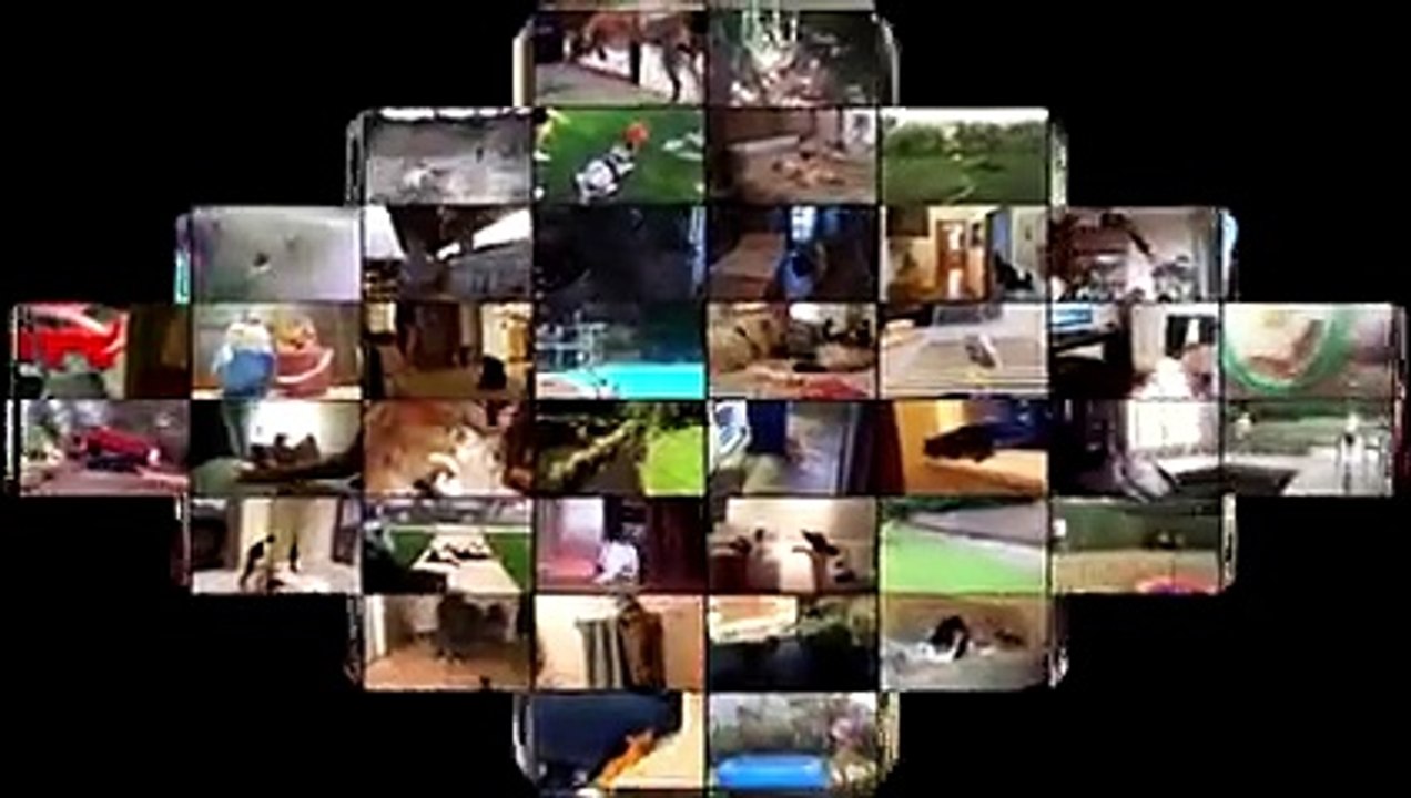 Funny Cats Sleeping - Funny Cute Cats Compilation - Sleeping Cats Part 2