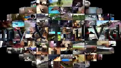 Funny Animals In Costumes - Funny Animal Videos Compilation December 2016