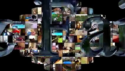 Animal Fails of the Week 2 December 2016 - Animal Fails Compilation 2016