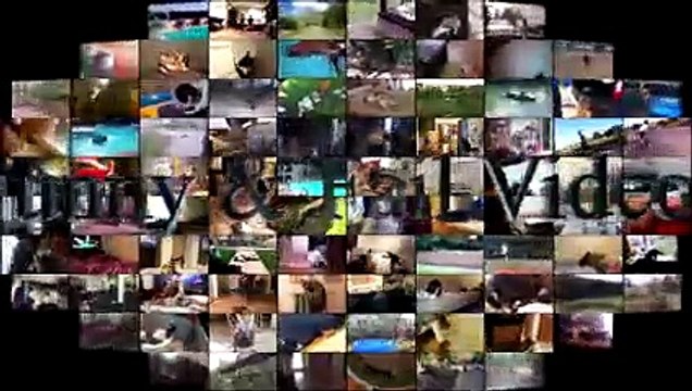 Cats scared of Cucumbers Compilation - Part 3 - Cats Vs Cucumbers - Funny Cats 2016