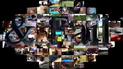 Cats scared of Cucumbers Compilation - Cats Vs Cucumbers - Funny Cats 2017