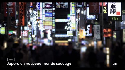 Japon, un nouveau monde sauvage - 29 août