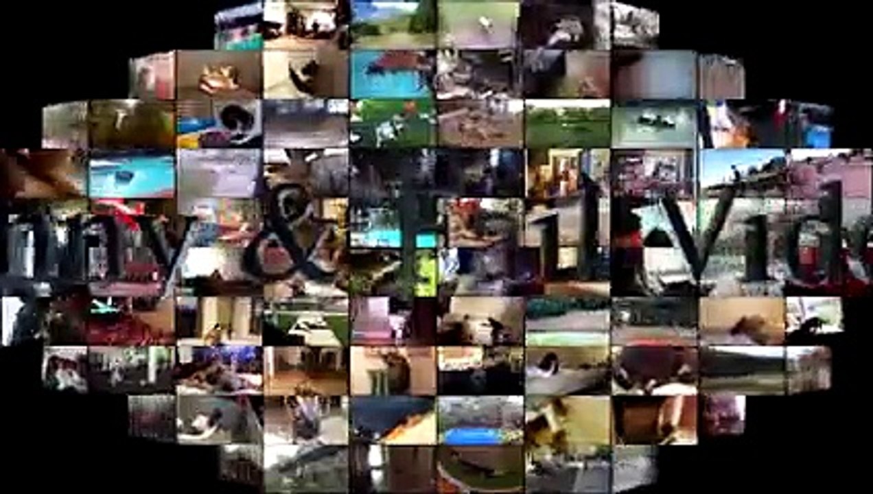 Humpy Dogs Fails - Funny Dogs Fails - Dog Hump Fails Compilation