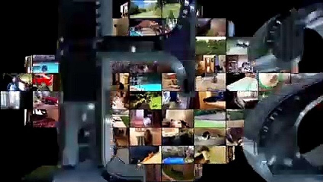 Funny Animals - Funny Animals Compilation July 2017