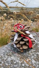 La Reconstruction de Saint Malo - Professeur Pin