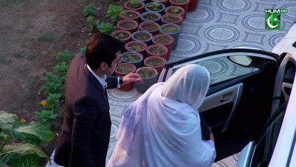 Gila Episode 34 [ Wahaj Ali - Anzela Abbasi ] Best Pakistani Serial - FLO Digital