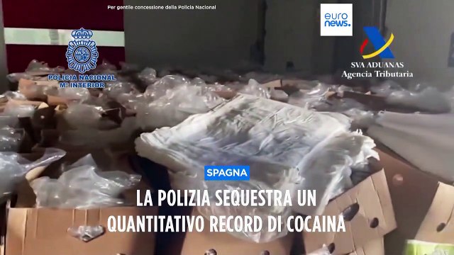 Spagna, la Polizia nazionale sequestra quasi 9,5 tonnellate di cocaina in casse di banane