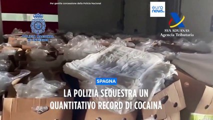 Spagna, la Polizia nazionale sequestra quasi 9,5 tonnellate di cocaina in casse di banane