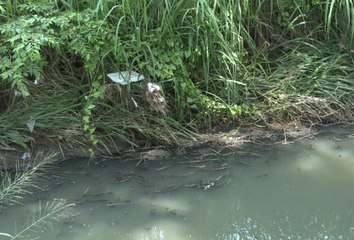 Vierten aguas negras en canal de San José del Valle