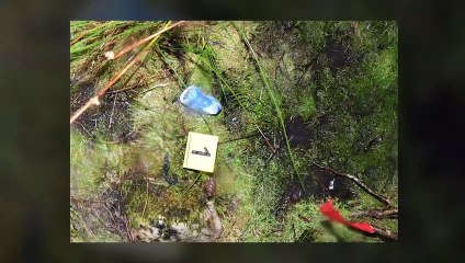 Drink driver who killed cyclist and hid the body jailed