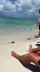 No way  ----THE END ! ---funny moments _funnypictures _FunnyPinns -SofiaFunnyPin _FunnyOrDie _funnyordie -funnyvideos  #fypシ