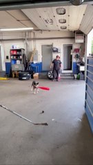 Now THAT’S gotta hurt  !!!!! THE END ! ---funny moments _funnypictures _FunnyPinns -SofiaFunnyPin _FunnyOrDie _funnyordie -funnyvideos