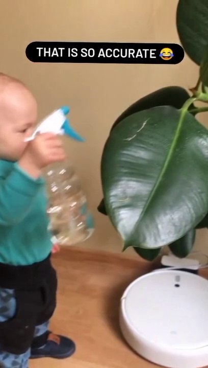 THE END ! ---funny moments _funnypictures _FunnyPinns -SofiaFunnyPin _FunnyOrDie _funnyordie -funnyvideos _FunnyQuotes _funnyquoteblog #fun #kids #wow #instagood #lovely #funnyvideo #funnypost #laughing #instagram #viral #reelsinstagram #viralreels #reels