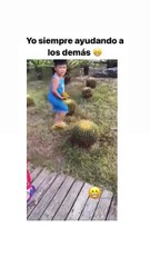 THE END ! ---funny moments _funnypictures _FunnyPinns -SofiaFunnyPin _FunnyOrDie _funnyordie -funnyvideos _FunnyQuotes _funnyquoteblog _funnyphotos _funnypfp _funnyprofilepictures  _The-FunnyBeaver