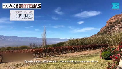 Expo Vinotecas -Agustín Lanús - Vinos de altura y extrema altura