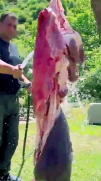 Camel Stew With Vegetable On The Fire || Outdoor Cooking|| Wild kitchen || Village life || Recipe || Cooking Food Dish|| Cooking || Food || Dish ||