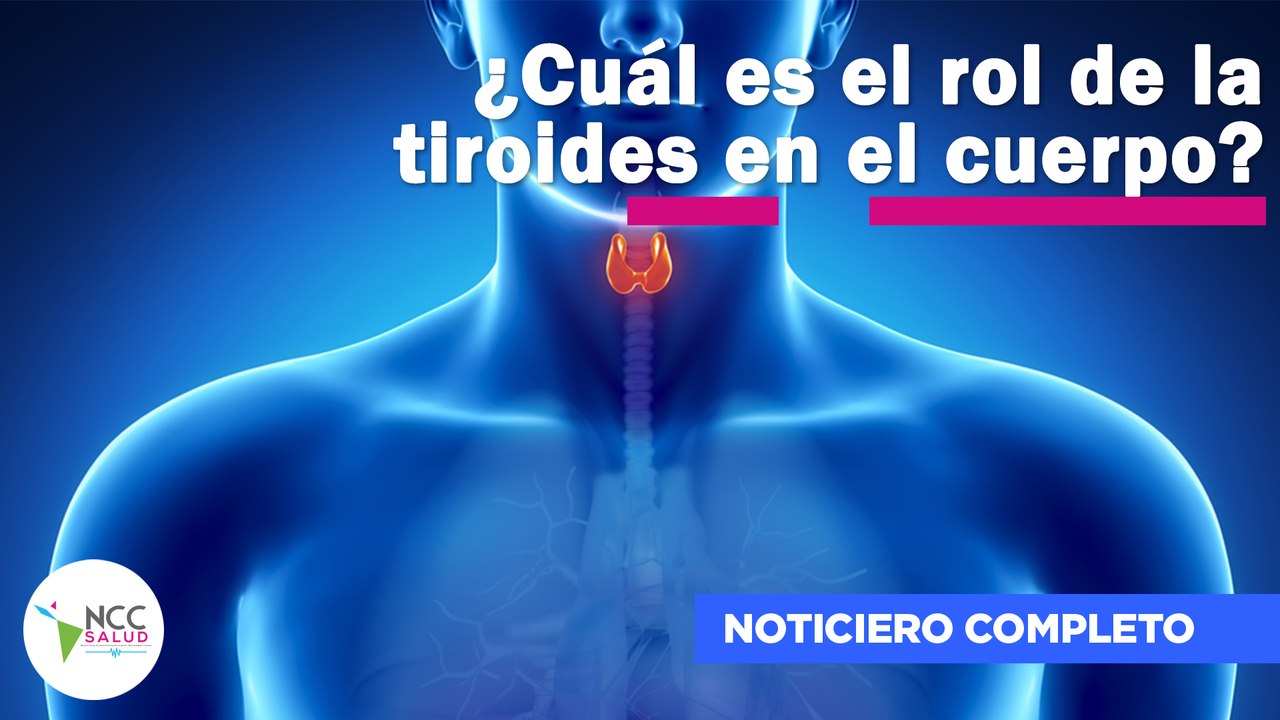 ¿Cuál es el rol de la tiroides en el cuerpo? | 160 | 28 de agosto al 03 de septiembre de 2023