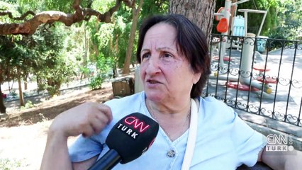 Beşiktaş'ta çınar ağaçları kesildi