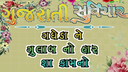 || gujarati suvichar ||ગધેડા ને ગુલાબ નો હાર શા કામનો ||