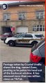 Golden Retriever in Police Car Goes Viral