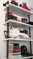 George Enters The Forbidden Zone