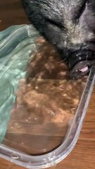Quelqu’un a découvert qu’elle pouvait faire des bulles d’eau aujourd’hui