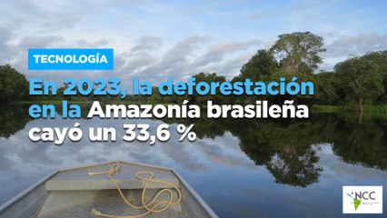 En 2023, la de­fo­res­ta­ción en la Ama­zo­nía bra­si­le­ña cayó un 33,6 %