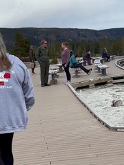 Un touriste trop proche des vieux fidèles
