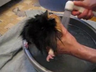 Bild 003 - thumbnail