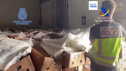 La douane espagnole saisit 9,5 tonnes de cocaïne venue d'Équateur